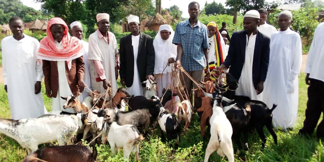 Qurbani 2019 Uganda